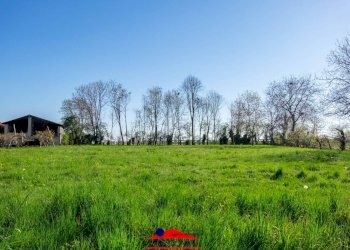 Farmhouse Strada Raffo, 32, Busca - photo 36