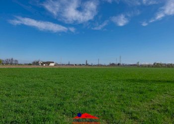 Agricultural land Via Villafalletto, 40, Saluzzo - photo 3
