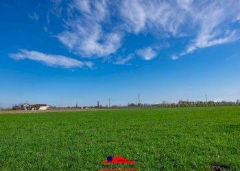 Agricultural land Via Villafalletto, 40, Saluzzo - photo 5