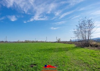 Agricultural land Via Villafalletto, 40, Saluzzo - photo 6