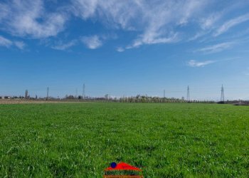 Agricultural land Via Villafalletto, 40, Saluzzo - photo 7
