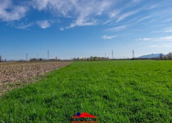 Agricultural land Via Villafalletto, 40, Saluzzo - photo 10