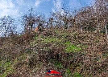 Terreno edificabile Strada San Bernardo, 2, Piasco - foto 10