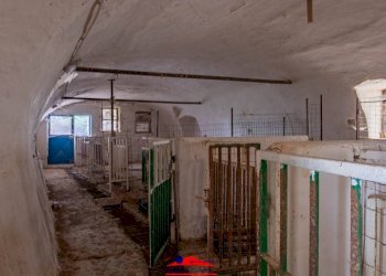 Cascina Via Mattona, 3, Villafalletto - foto 33