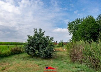 Cascina Via Mattona, 3, Villafalletto - foto 37