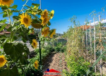 Three-room apartment Corso 25 Aprile, 33, Busca - photo 29