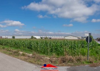 Building land Borgata Marino, Busca - photo 7