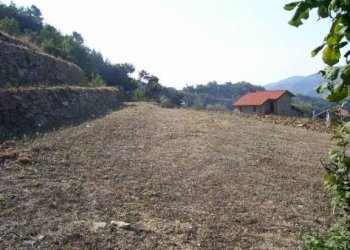 Villa Dolceacqua - photo 9