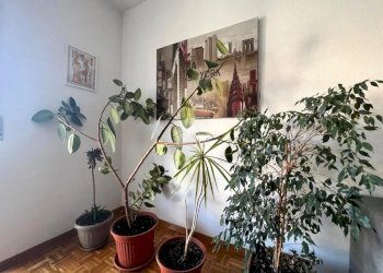 Apartment Via Milano, Vigliano Biellese - photo 6