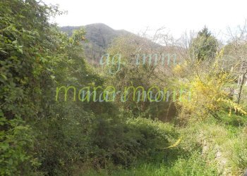 Terraced Villa Savona - photo 11