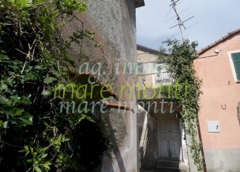 Terraced Villa Savona - photo 17