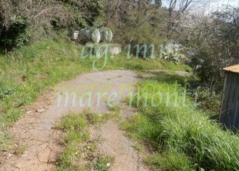 Terraced Villa Savona - photo 22