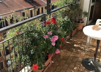 Appartamento Savona (zona Oltreletimbro) - foto 7