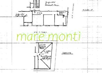 Trilocale Savona (zona Oltreletimbro) - foto 8