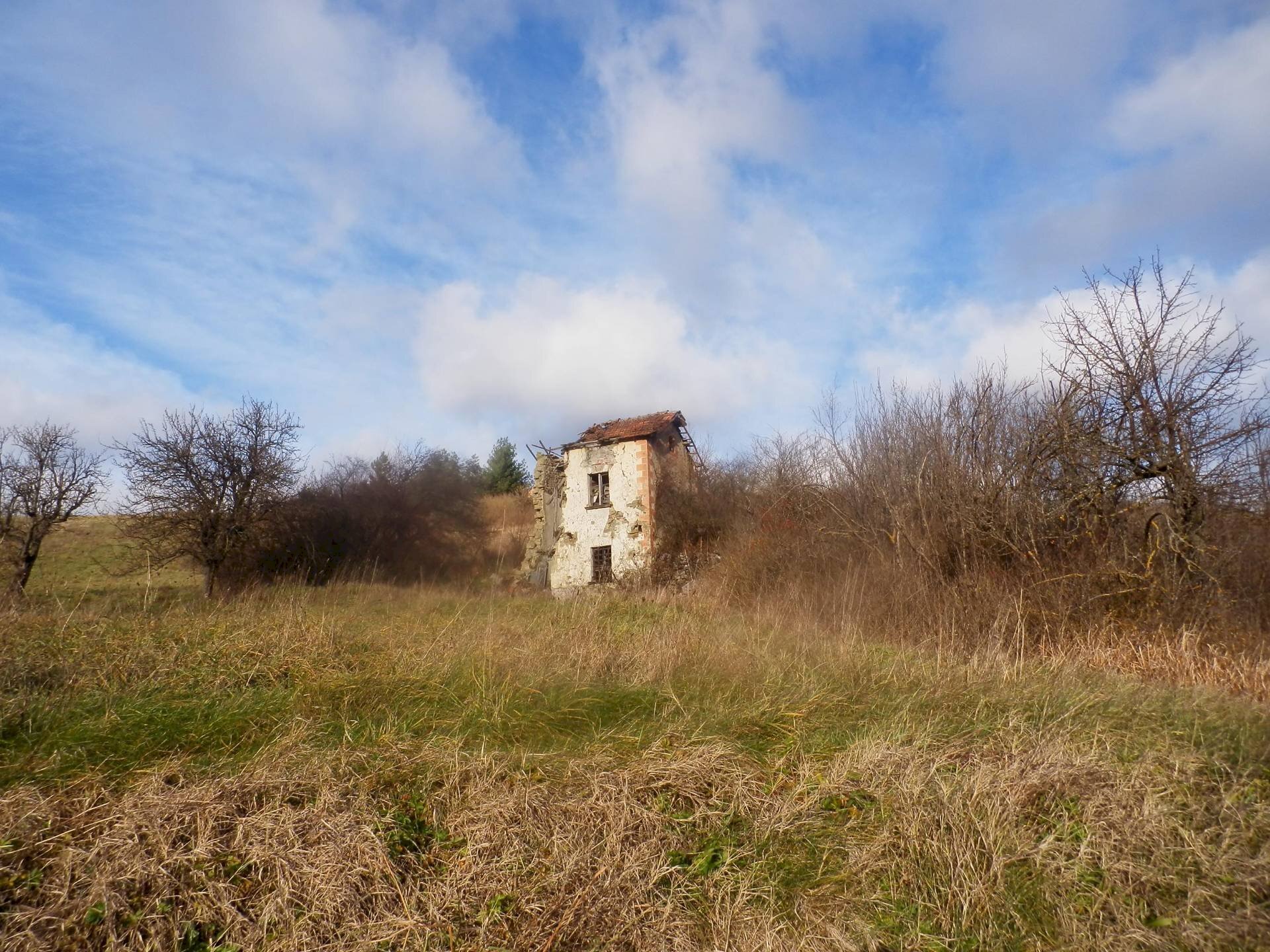 Rustic Mioglia - photo 1