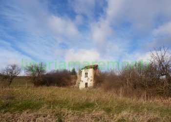 Rustic Mioglia - photo 3