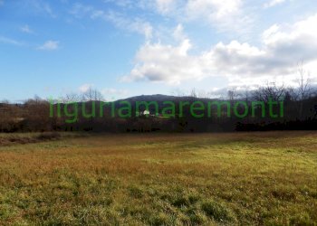 Rustic Mioglia - photo 8