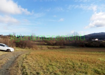 Rustic Mioglia - photo 9