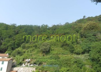 Villa a Schiera Savona (zona Lavagnola) - foto 43