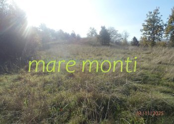 Terraced Villa Giusvalla - photo 33