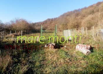 Casa indipendente Savona (zona Santuario) - foto 12