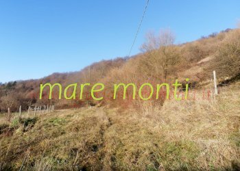 Casa indipendente Savona (zona Santuario) - foto 13