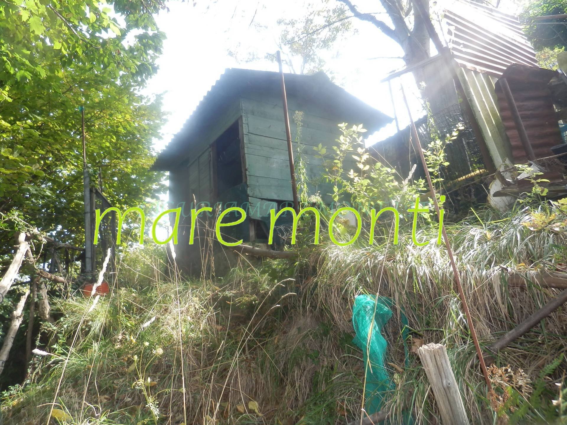 Terreno agricolo Savona (zona Santuario) - foto 1