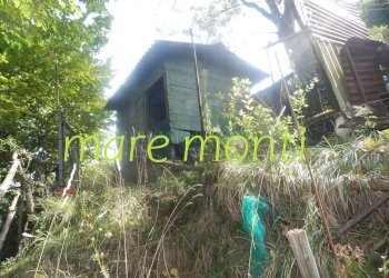 Terreno agricolo Savona (zona Santuario) - foto 1