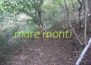 Terreno agricolo Savona (zona Santuario) - foto 3