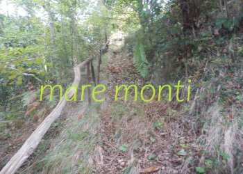 Terreno agricolo Savona (zona Santuario) - foto 4