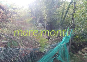 Terreno agricolo Savona (zona Santuario) - foto 7