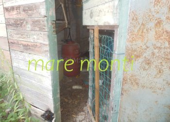 Terreno agricolo Savona (zona Santuario) - foto 9
