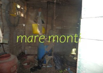 Terreno agricolo Savona (zona Santuario) - foto 10