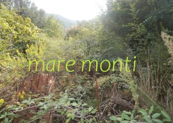 Terreno agricolo Savona (zona Santuario) - foto 11