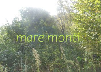 Terreno agricolo Savona (zona Santuario) - foto 12