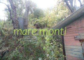Terreno agricolo Savona (zona Santuario) - foto 16