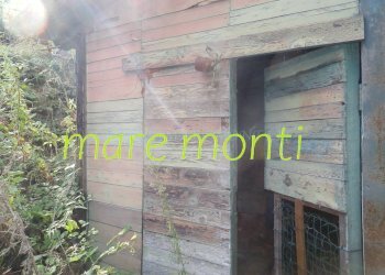 Terreno agricolo Savona (zona Santuario) - foto 17