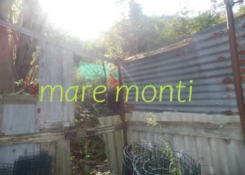 Terreno agricolo Savona (zona Santuario) - foto 18