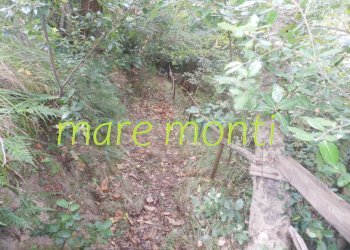 Terreno agricolo Savona (zona Santuario) - foto 20