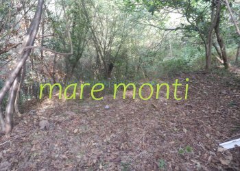 Terreno agricolo Savona (zona Santuario) - foto 21