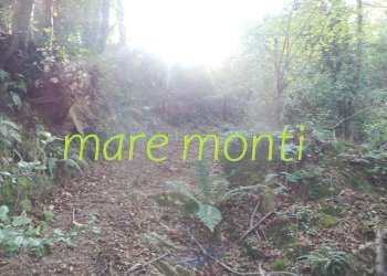Terreno agricolo Savona (zona Santuario) - foto 22