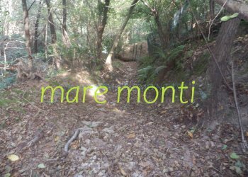 Terreno agricolo Savona (zona Santuario) - foto 23
