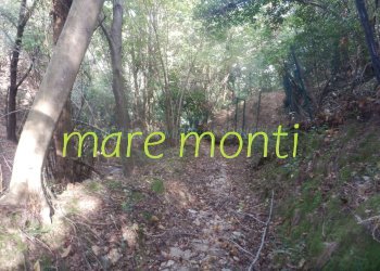 Terreno agricolo Savona (zona Santuario) - foto 24