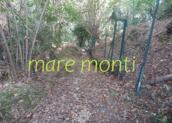 Terreno agricolo Savona (zona Santuario) - foto 25