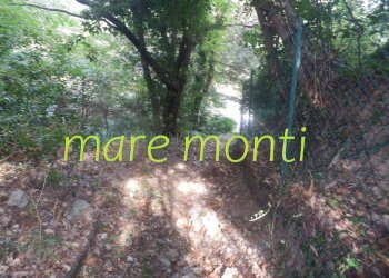 Terreno agricolo Savona (zona Santuario) - foto 26
