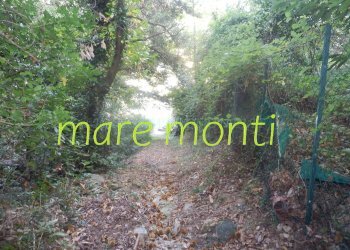 Terreno agricolo Savona (zona Santuario) - foto 27