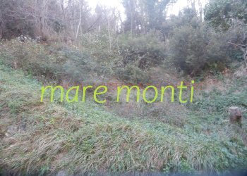 Rustico Albisola Superiore - foto 15