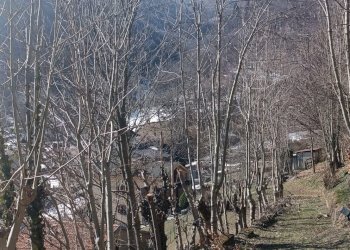 Rustic via San Giuseppe, Roccaforte Mondovì - photo 23