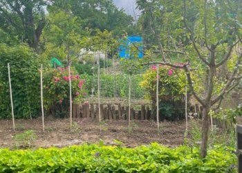 Villa strada Villarello 15, Cinisello Balsamo - foto 24