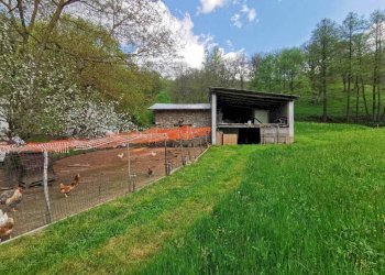 Rustico SP164, Pamparato - foto 4